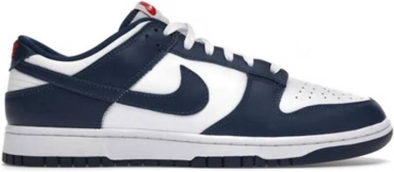 Nike Valerian Blue Dunk Low Sneakers White Heren