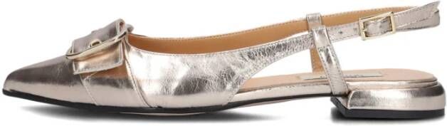 Notre-v Ballerina`s