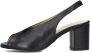 Notre-v Elegante zwarte sandalen voor dames - Thumbnail 3