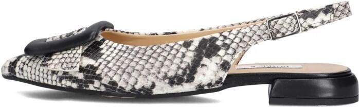 Notre-v Elegante Beige Slingbacks voor Vrouwen - Foto 2
