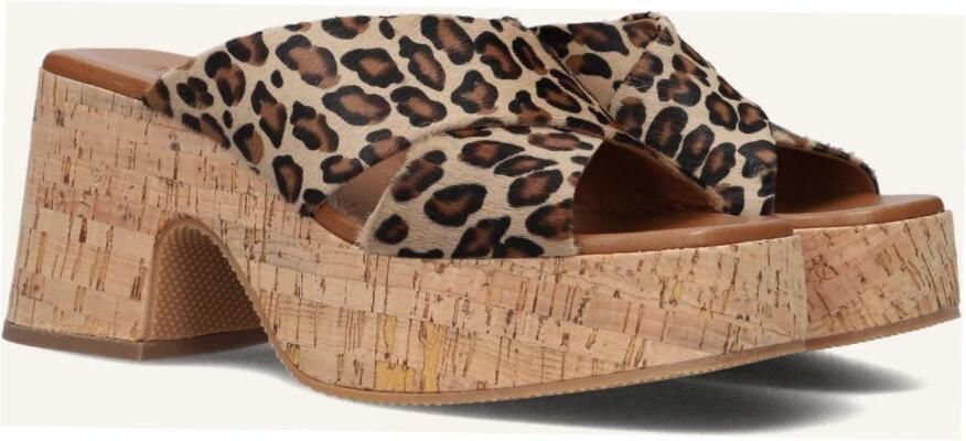 Notre-v Dames Hakken 989001 Brown - Foto 5