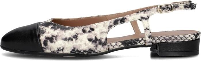 Notre-v Dames Hakken 08-490 Multicolor - Foto 3