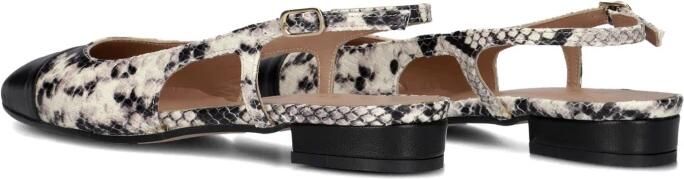 Notre-v Dames Hakken 08-490 Multicolor - Foto 4