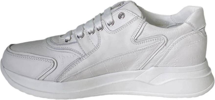 Paciotti Witte leren sneaker met dolkprint White Heren
