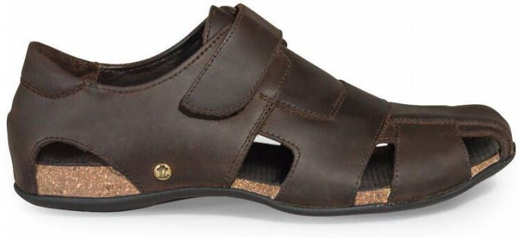 Panama Jack fletcher basics sandals Bruin Heren