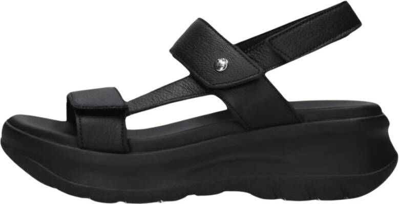 Panama Jack Zwarte Leren Sandalen met Klittenbandsluiting Black Dames