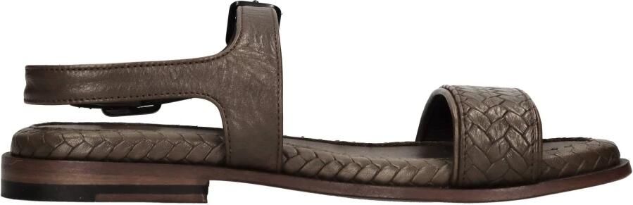 Pantanetti Platte schoenen Bruin