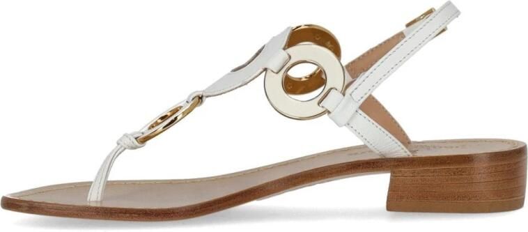 Paolo Ferrara Caprese Sandal - Foto 5