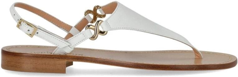 Paolo Ferrara Thong Sandal 721