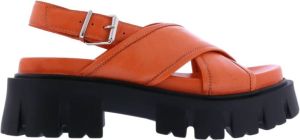 Paris Punk Sandalen Oranje Dames