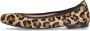 Pretty Ballerinas Luipaard Ballerina Schoenen Brown Dames - Thumbnail 1