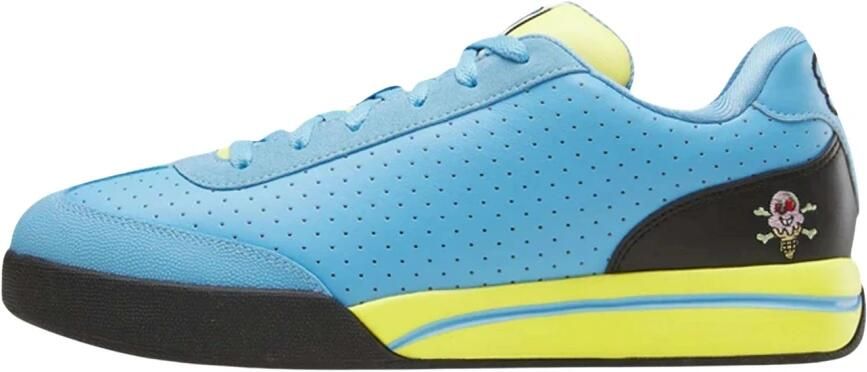 Reebok Skate Schoenen