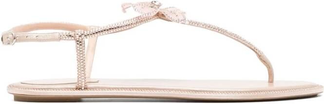 René Caovilla Nude Strappy Sandalen