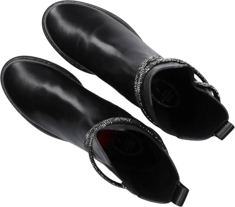René Caovilla Ankle Boots Black Dames
