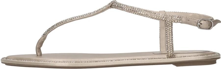 René Caovilla Diana Flat Sandal