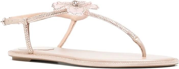 René Caovilla Nude Strappy Sandalen