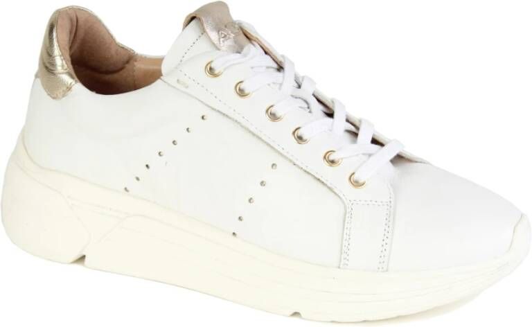 Roberto d'Angelo schoenen sneakers Wit Dames