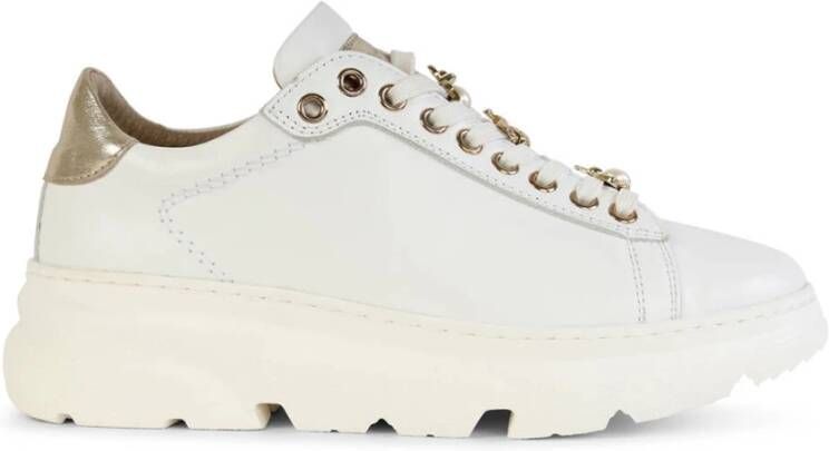 Roberto d'Angelo Roberto dAngelo Sneakers Excel Multicolor Dames