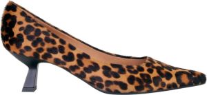 Roberto Festa Pumps Meerkleurig Dames
