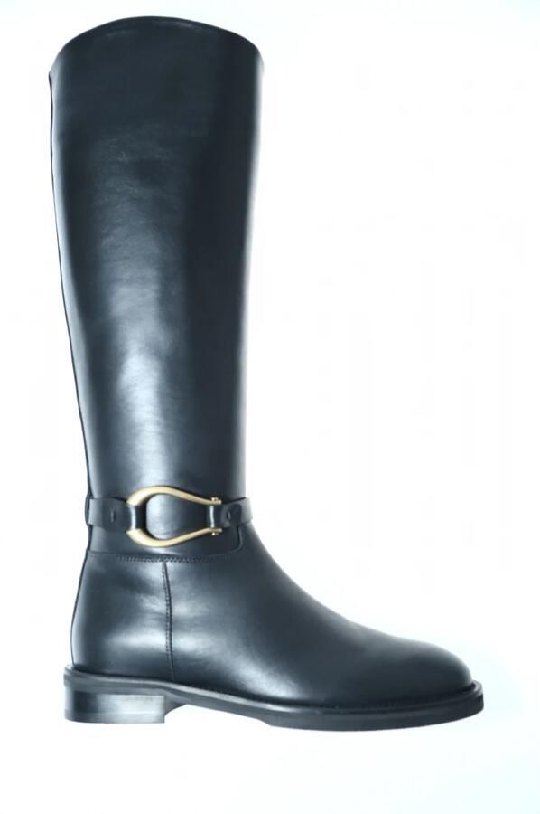 Roberto Festa Nia Hoge Laars