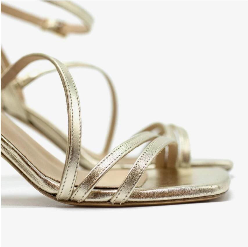 Roberto Festa Sandalo