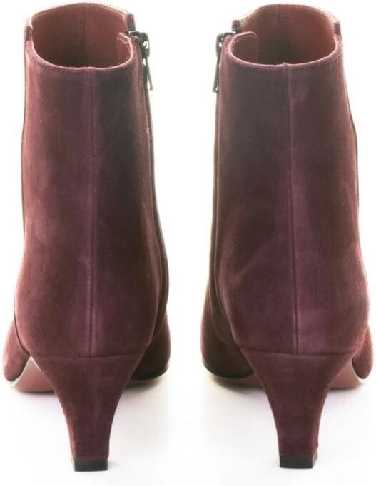 Roberto Festa Suede Kitten Heel Enkellaarsjes - Foto 2