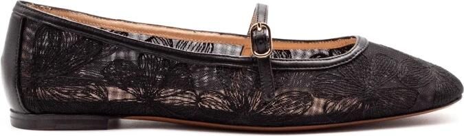 Roberto Festa Tideo Orleans Ballerina