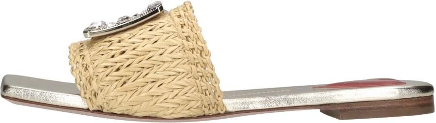 Roger Vivier Flat shoes Brown