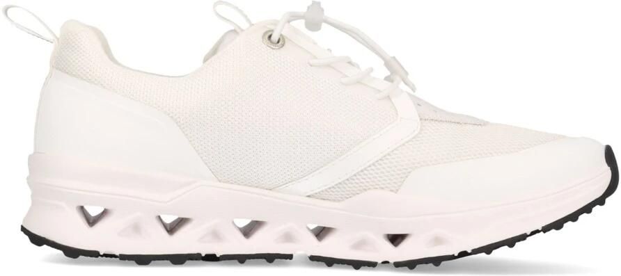 SALAMANDER Sneakers laag grijs wit