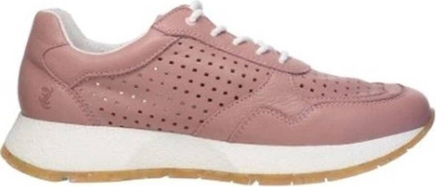 Sala der Sneakers