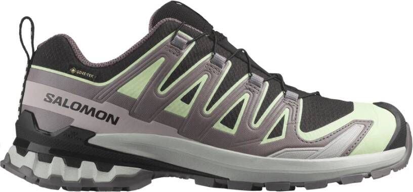 Salomon 3D GTX Trail Hardloopschoenen