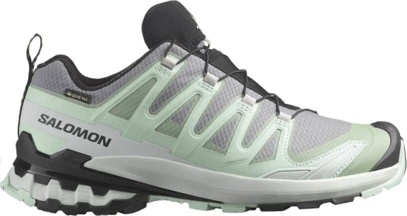 Salomon 3D V9 GTX Trailrunningschoenen