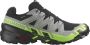 Salomon 3D V9 GTX Trailrunningschoenen - Thumbnail 1