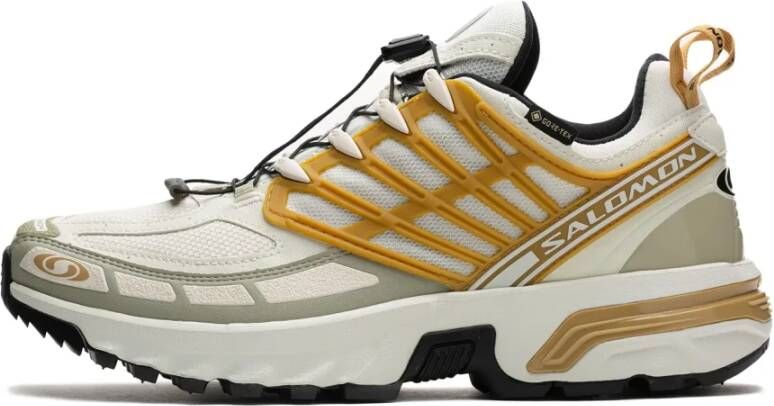 Salomon Icicle Antelope GTX Trail Schoenen