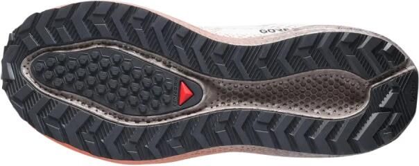 Salomon Women's Aero Blaze 4 GRVL GTX Hardloopschoenen 2 3 rainy day nectarine - Foto 3
