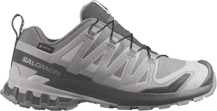 Salomon 's XA Pro 3D V9 GTX Multisportschoenen 2 3 grijs
