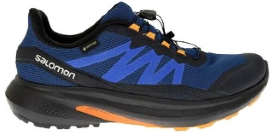 Salomon Running Shoes