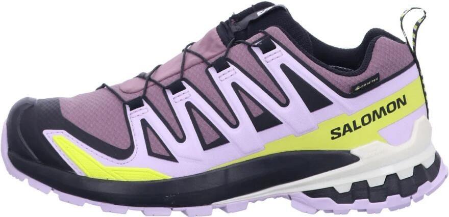 Salomon Women's XA Pro 3D V9 GTX Multisportschoenen 1 3 meerkleurig - Foto 2