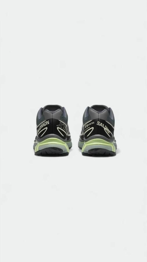 Salomon Lichtgewicht X-T 6 GTX Sneakers Green Heren
