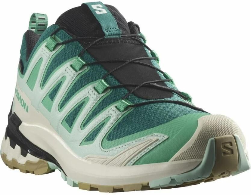 Salomon Women's XA Pro 3D V9 GTX Multisportschoenen 1 3 meerkleurig - Foto 3