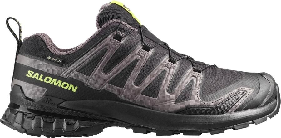 Salomon XA Pro 3D V9 GTX
