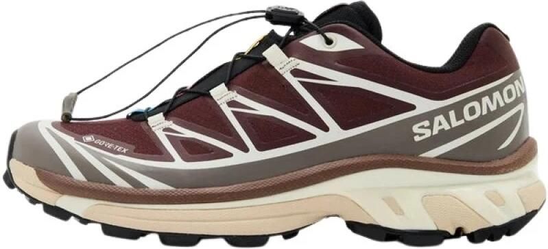 Salomon XT 6 GTX Bruin 38 2 3