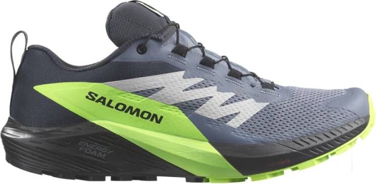 Salomon Sense Ride 5 GTX Sneakers Multicolor Heren