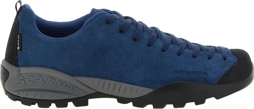 Scarpa Mojito Gtx Schoenen Blauw Man