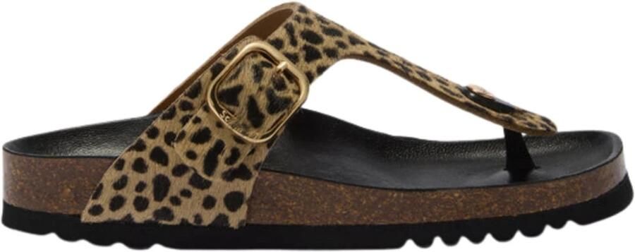 Scholl Bruin Anais Slippers Bruin F00629 - Foto 7