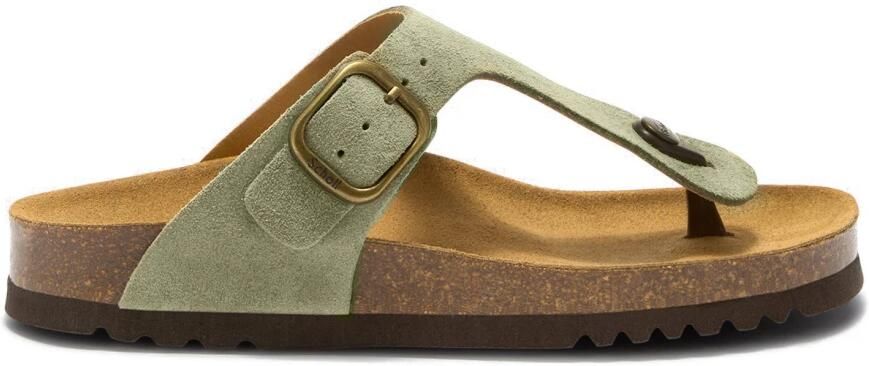 Scholl Anais Sue
