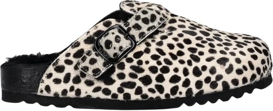 Scholl Fae New