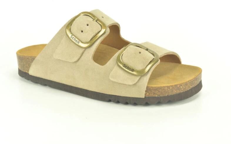 Scholl Muil 2B