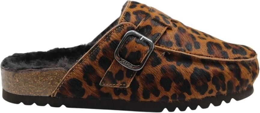 Scholl Slipper