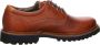 Sioux Casual heren veterschoenen in bruin - Thumbnail 2